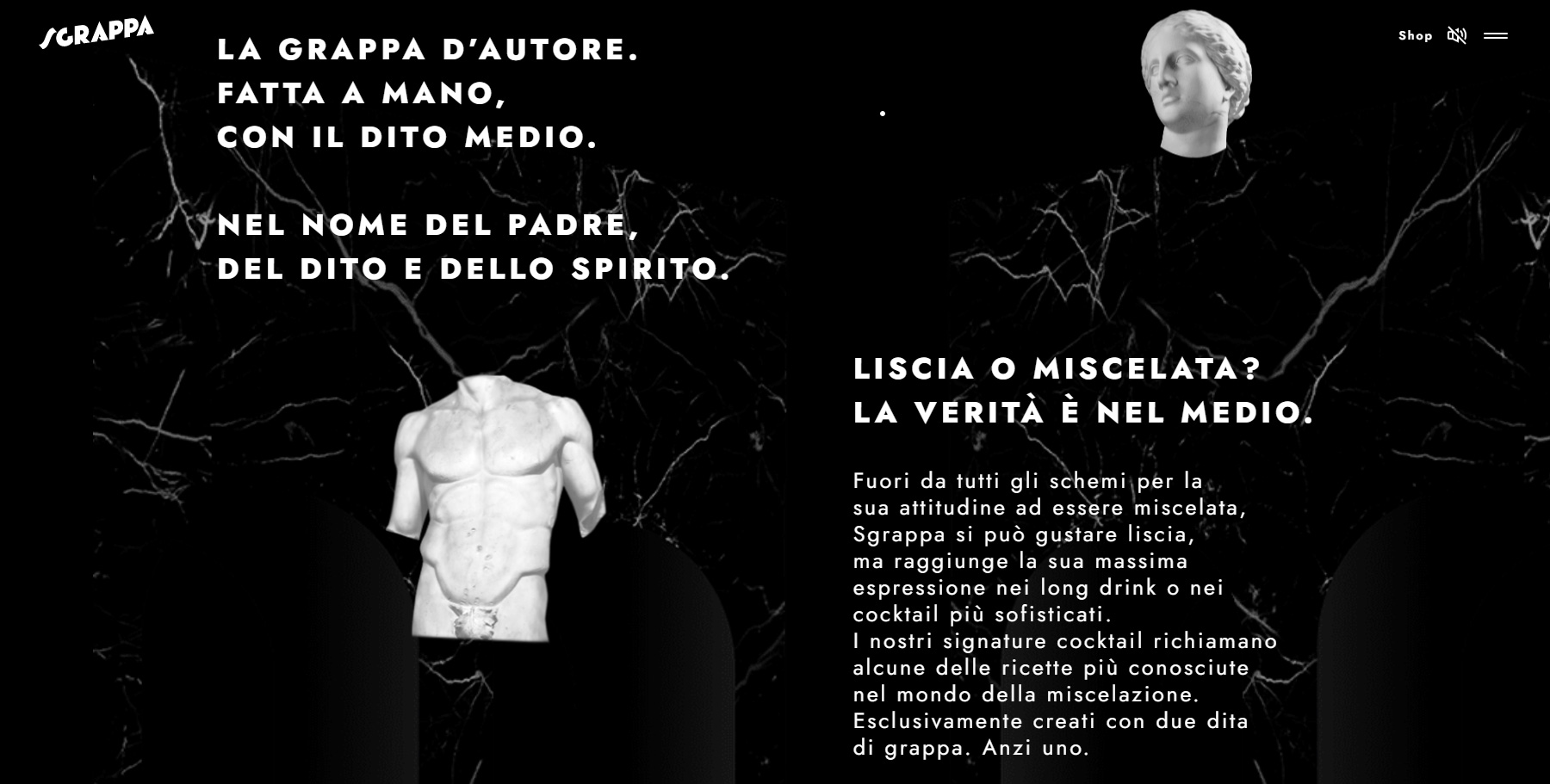 SGRAPPA - Website of the Day