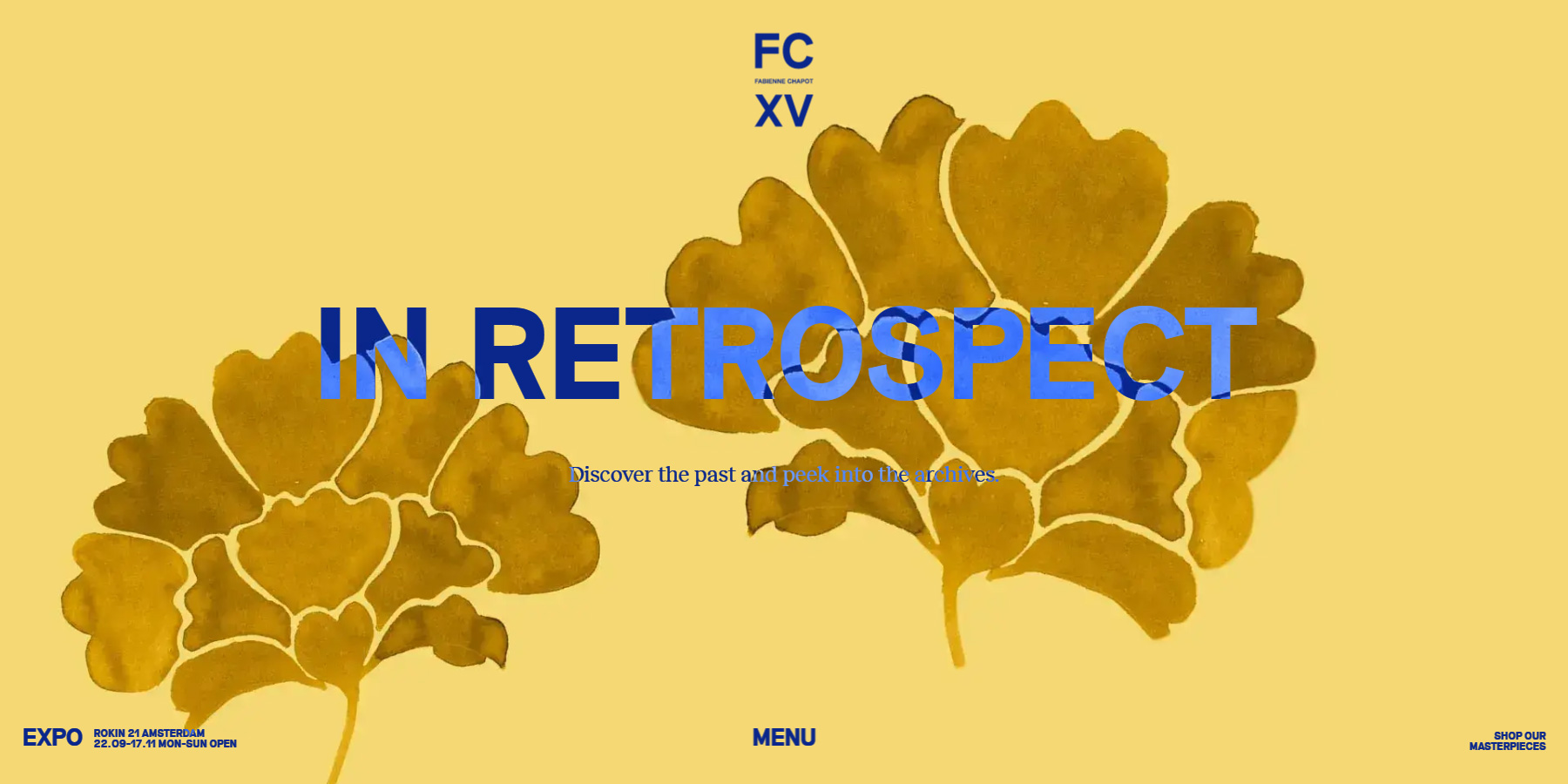 FCXV FABIENNE CHAPOT - Website of the Day