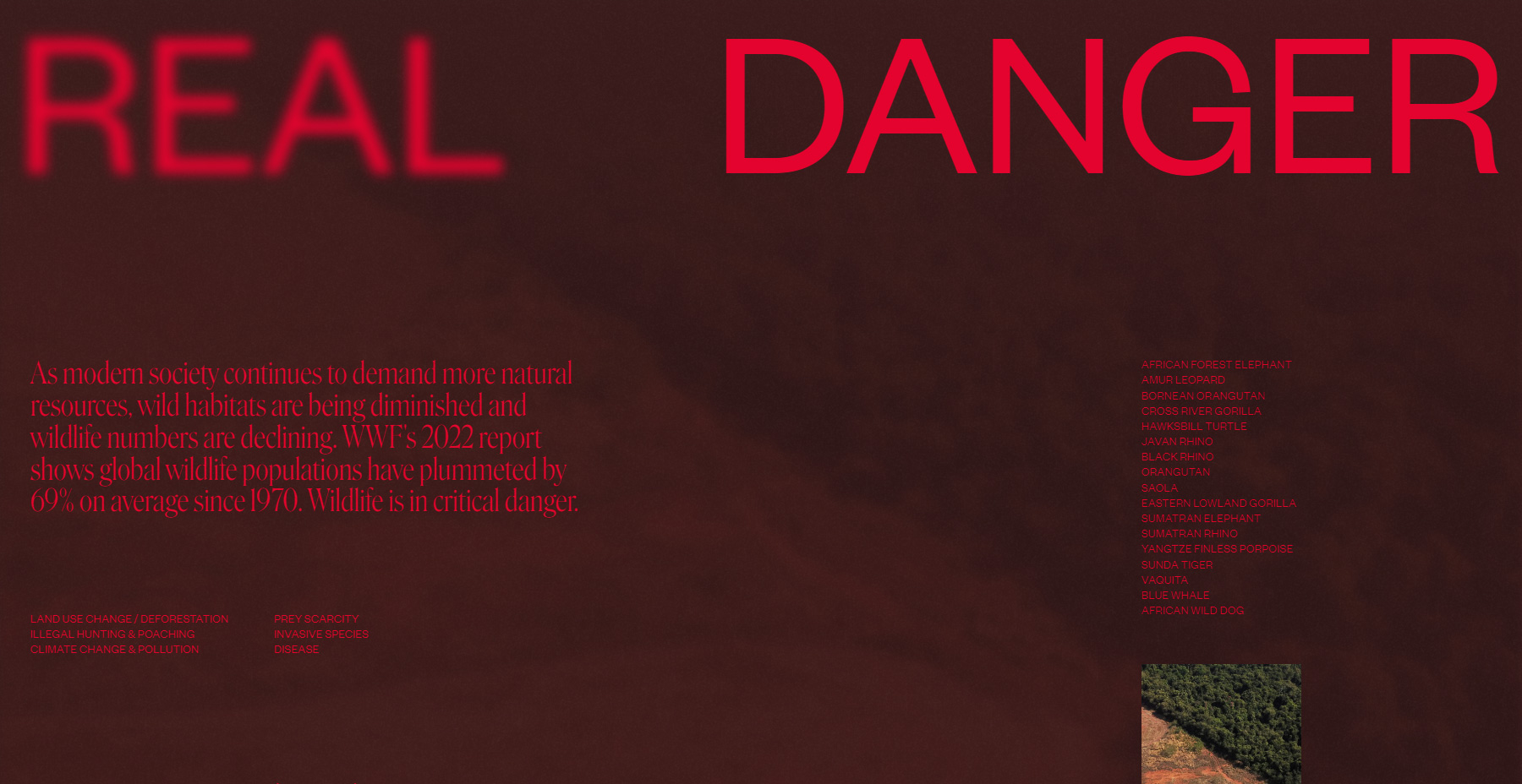 Critical Danger - Website of the Day