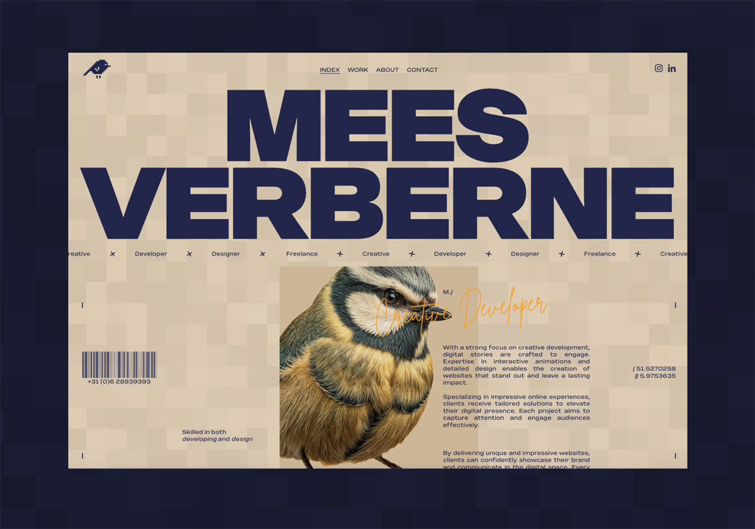 Mees Verberne - Creative Developer