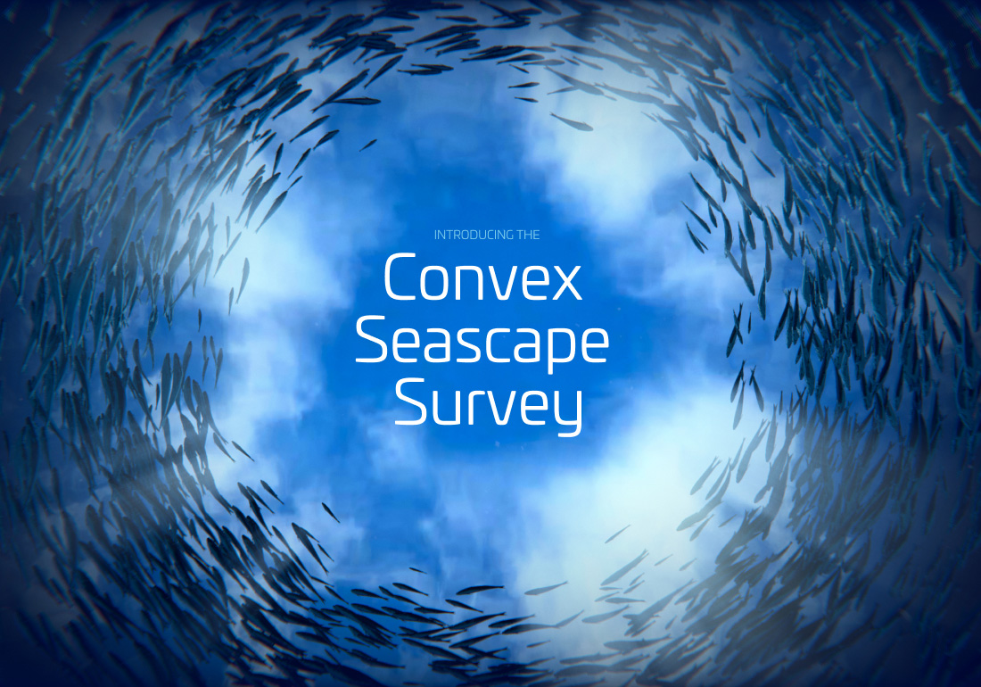 Convex Seascape Survey
