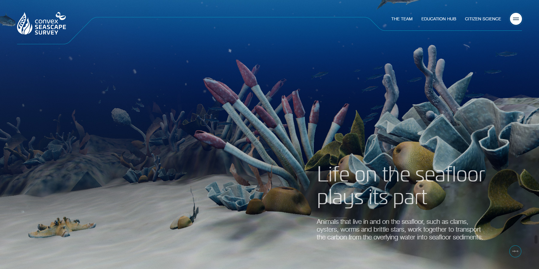 Convex Seascape Survey - Website of the Day