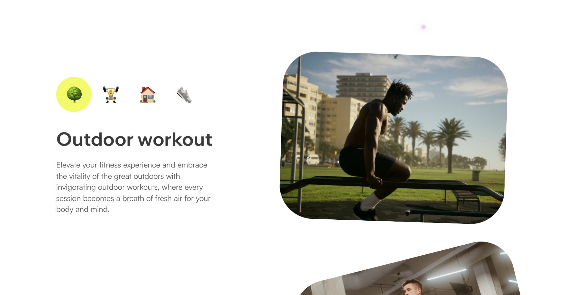 Fitonist - Website of the Day