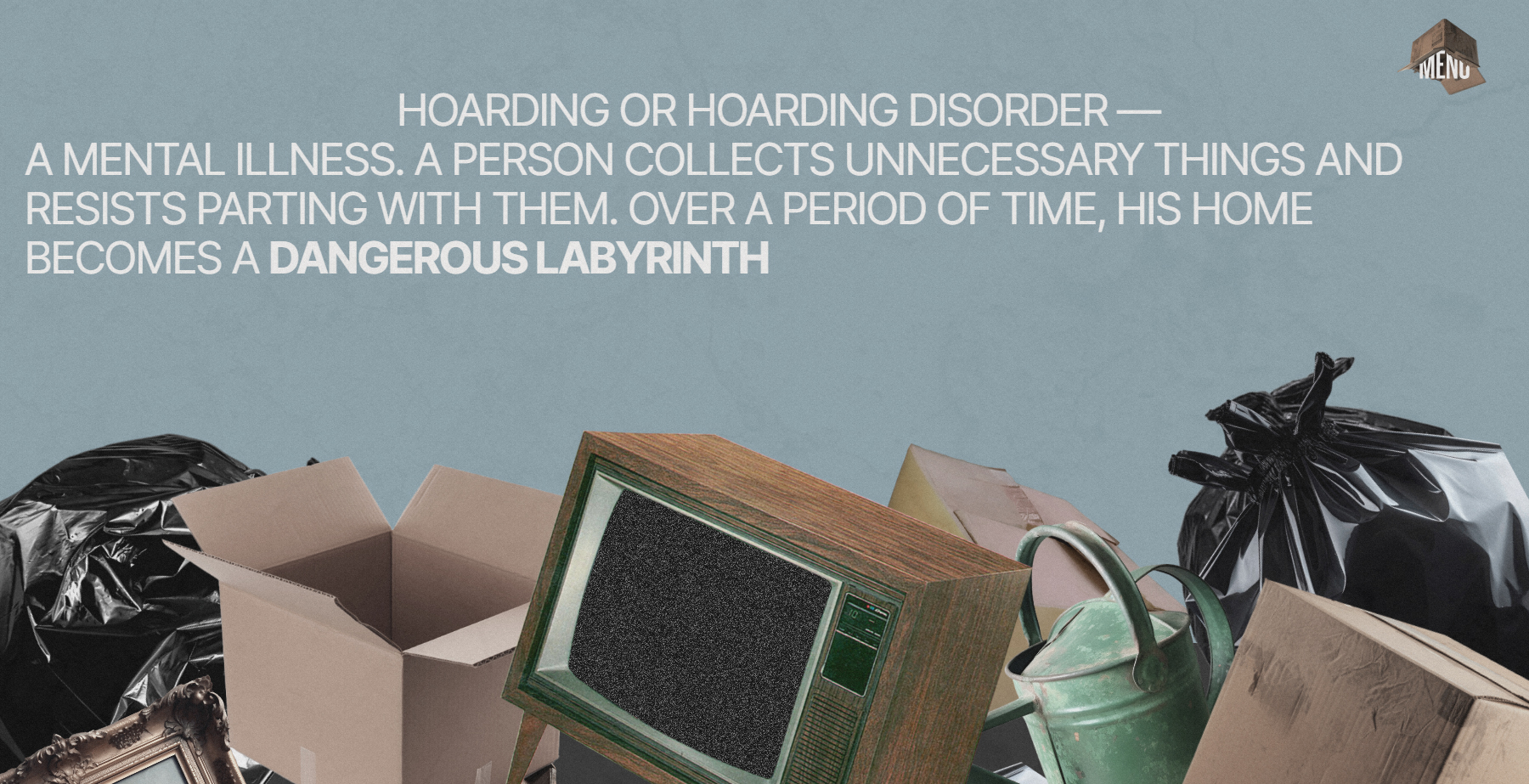 Hoarding disorder - Website of the Day