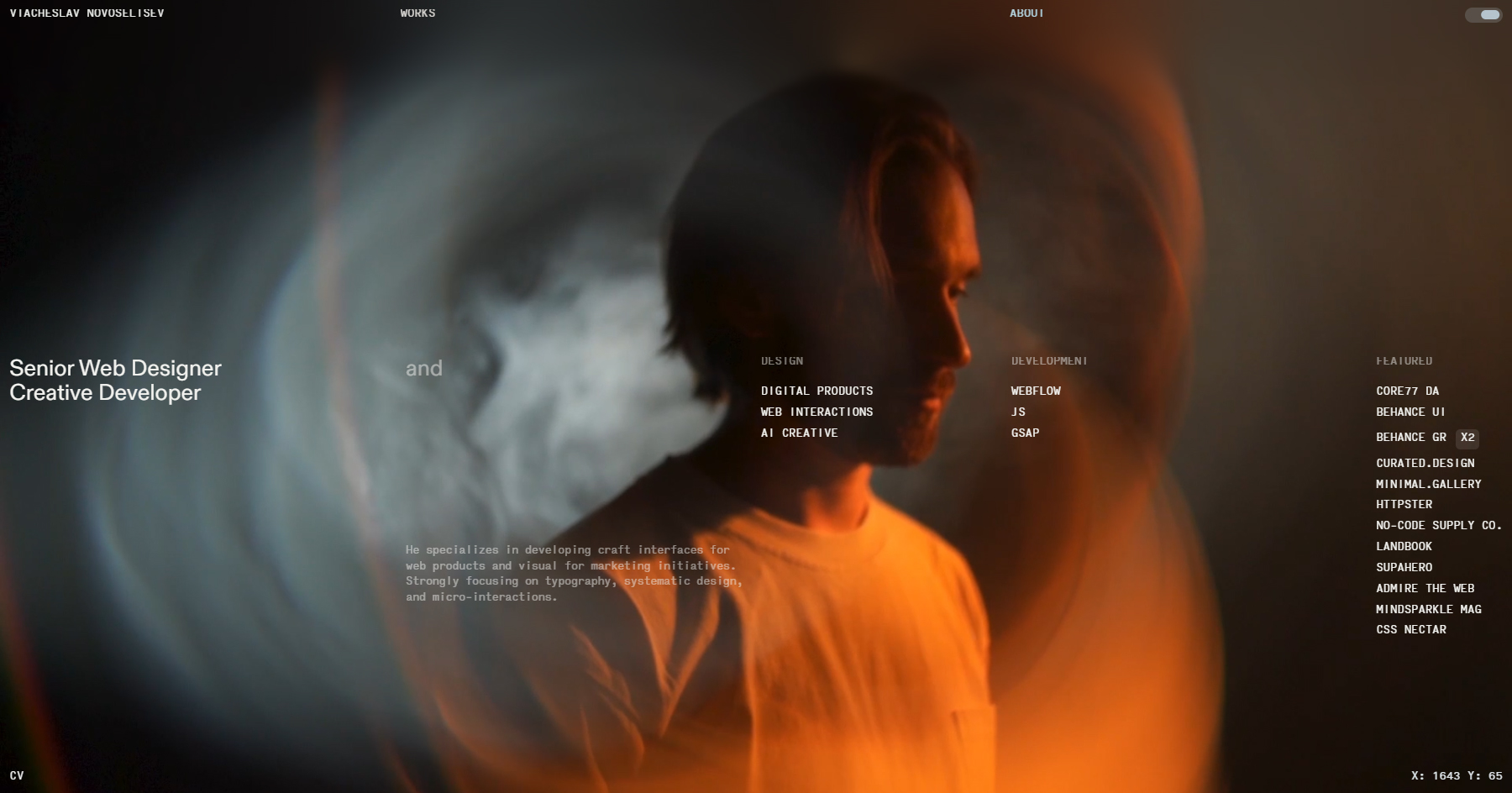 Viacheslav Novoseltsev - Website of the Day