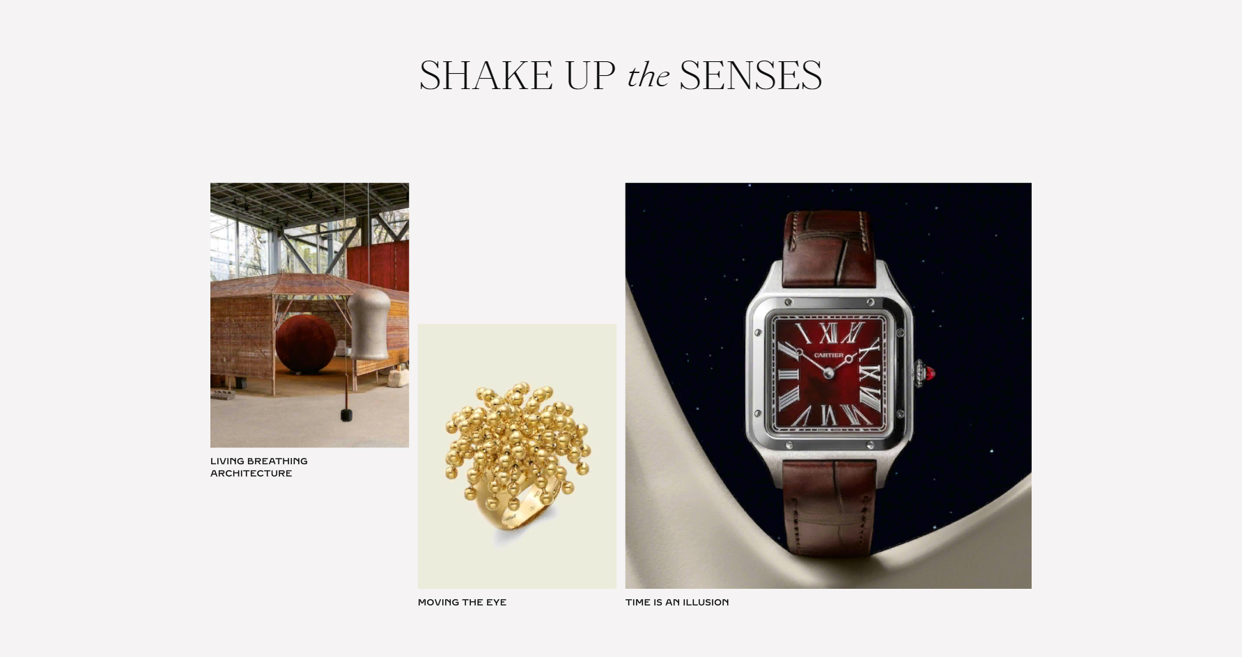 365 — A Year of Cartier - Website of the Day