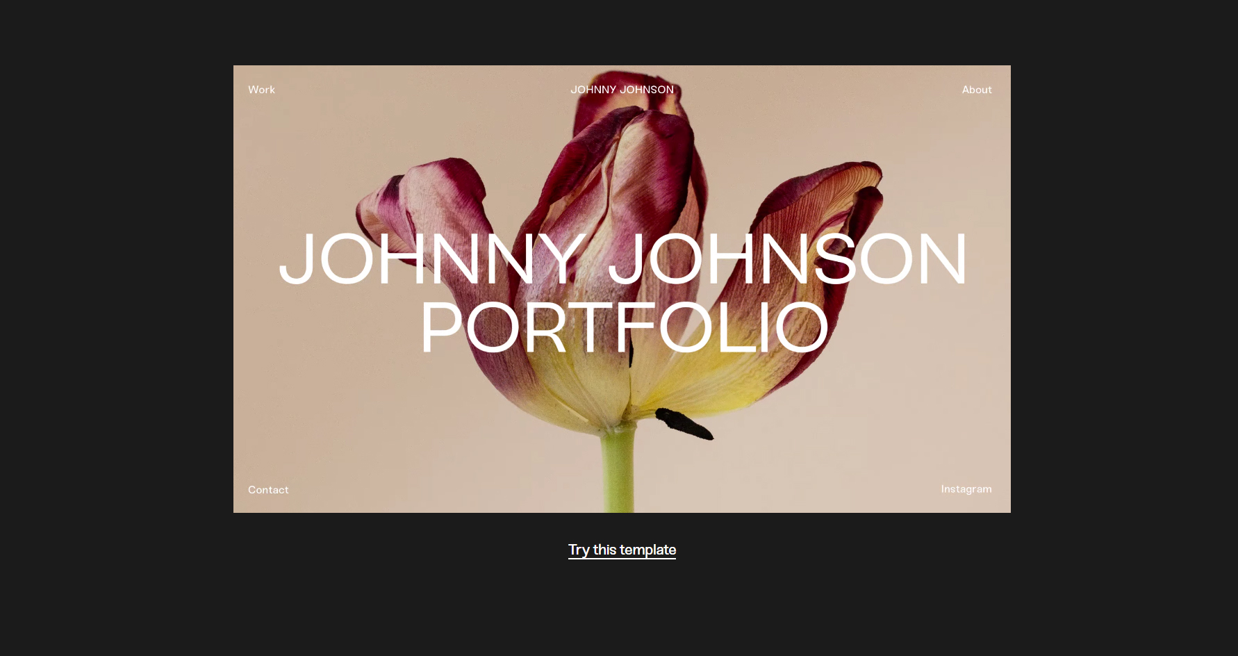 WOOPSITE - Website of the Day