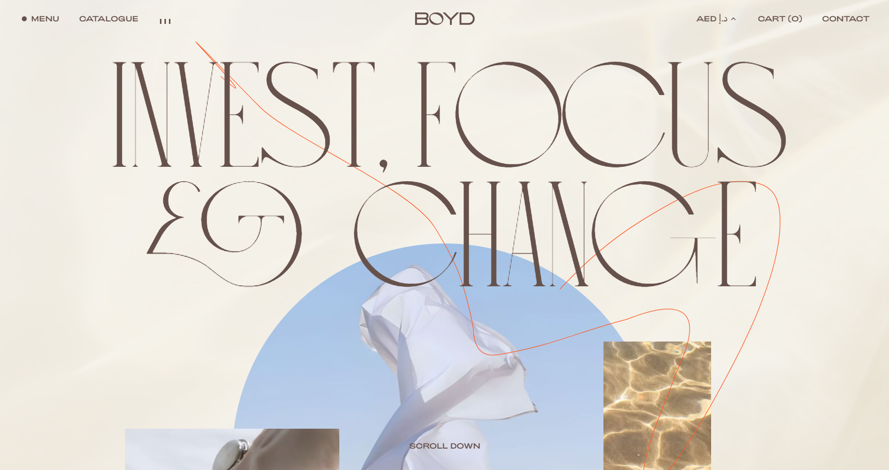 Boyd - Website of the Day