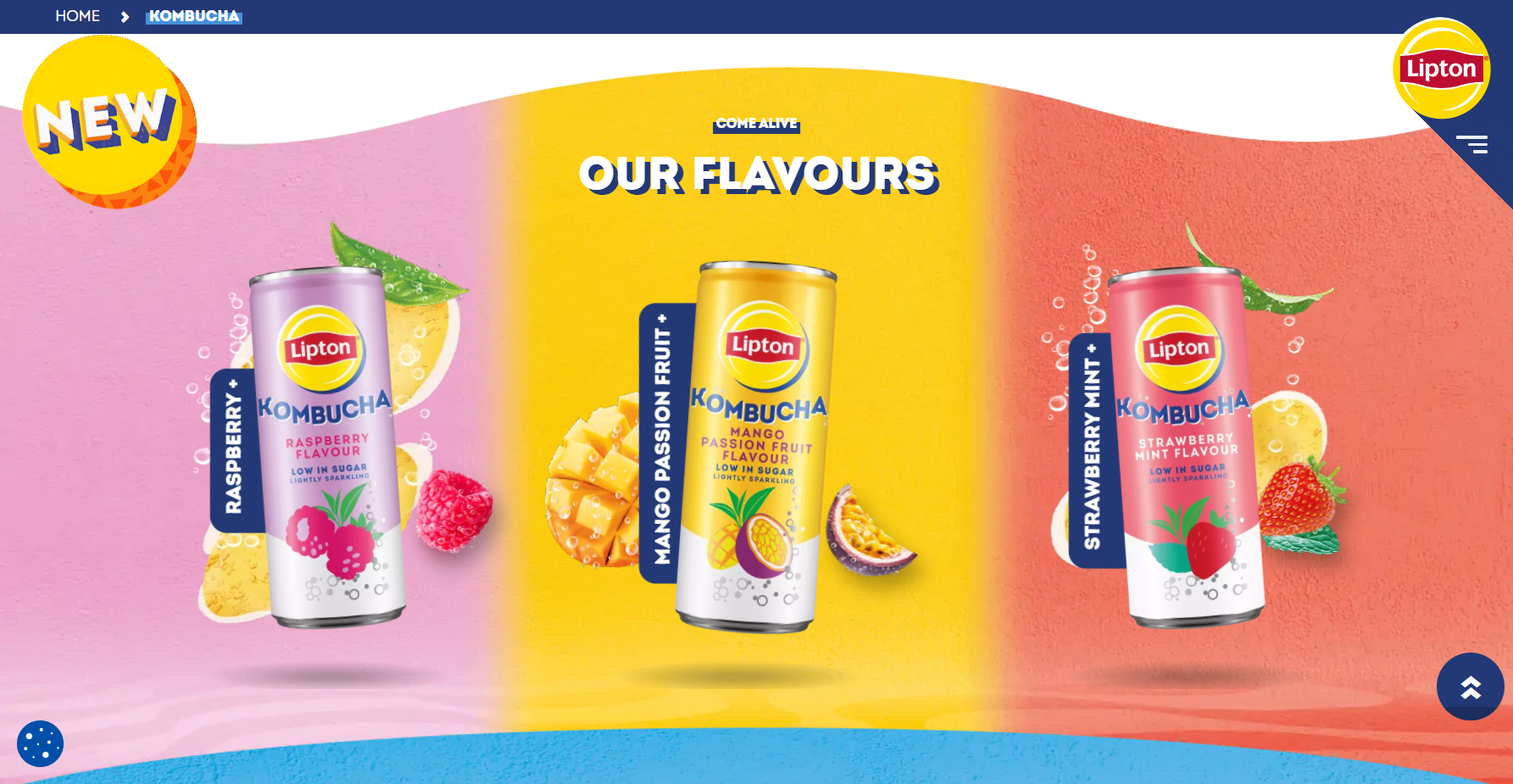 Lipton Kombucha Range - Website of the Day