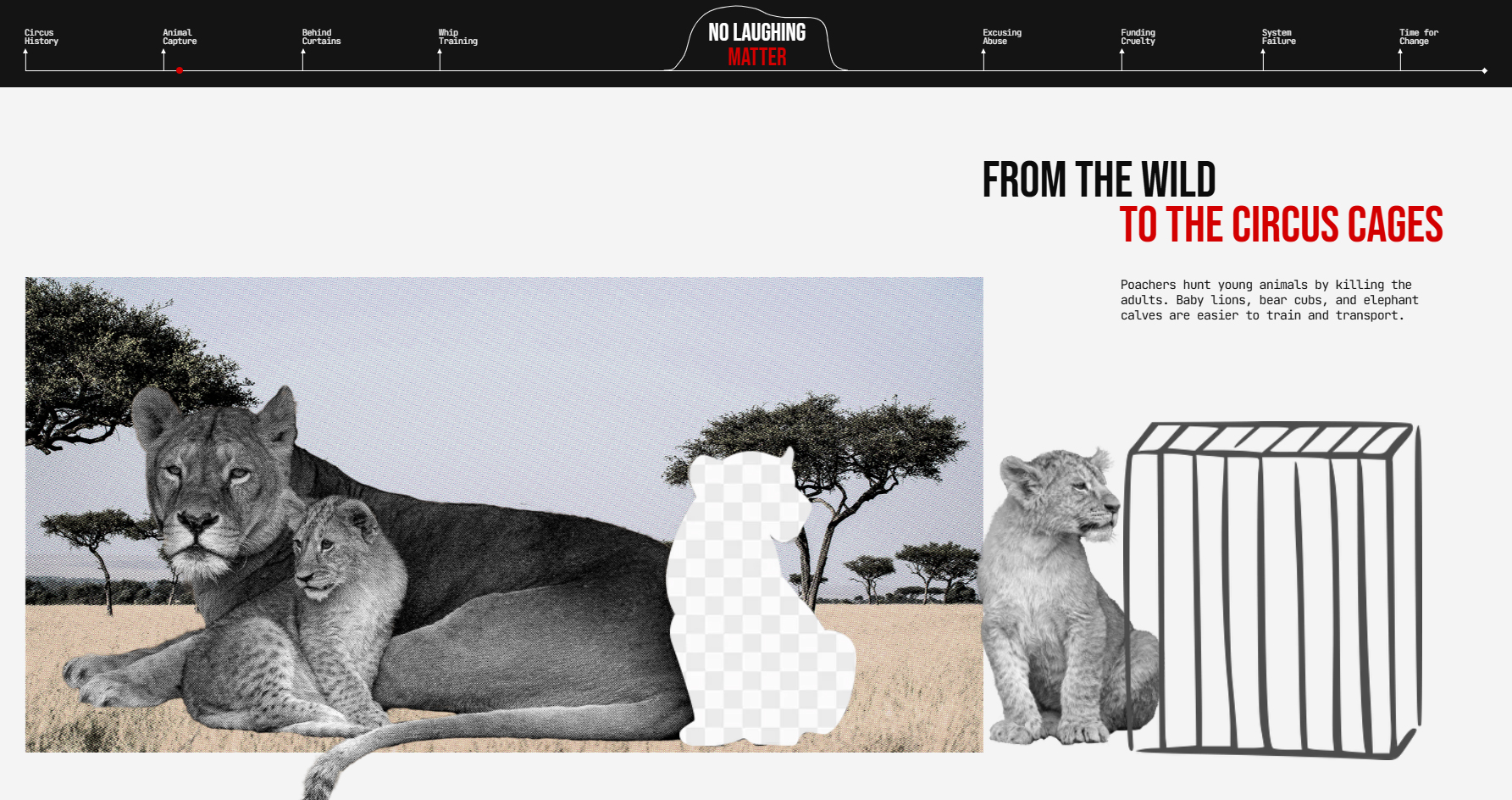 No Laughing Matter - Website of the Day