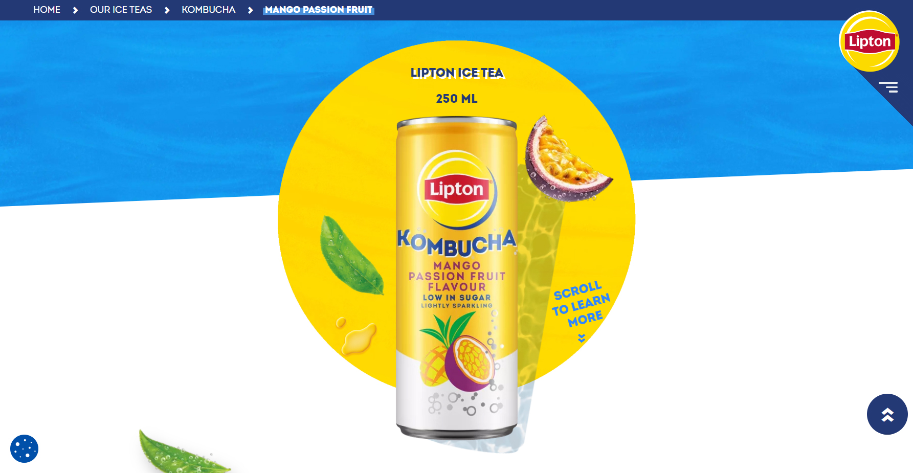 Lipton Kombucha Range - Website of the Day