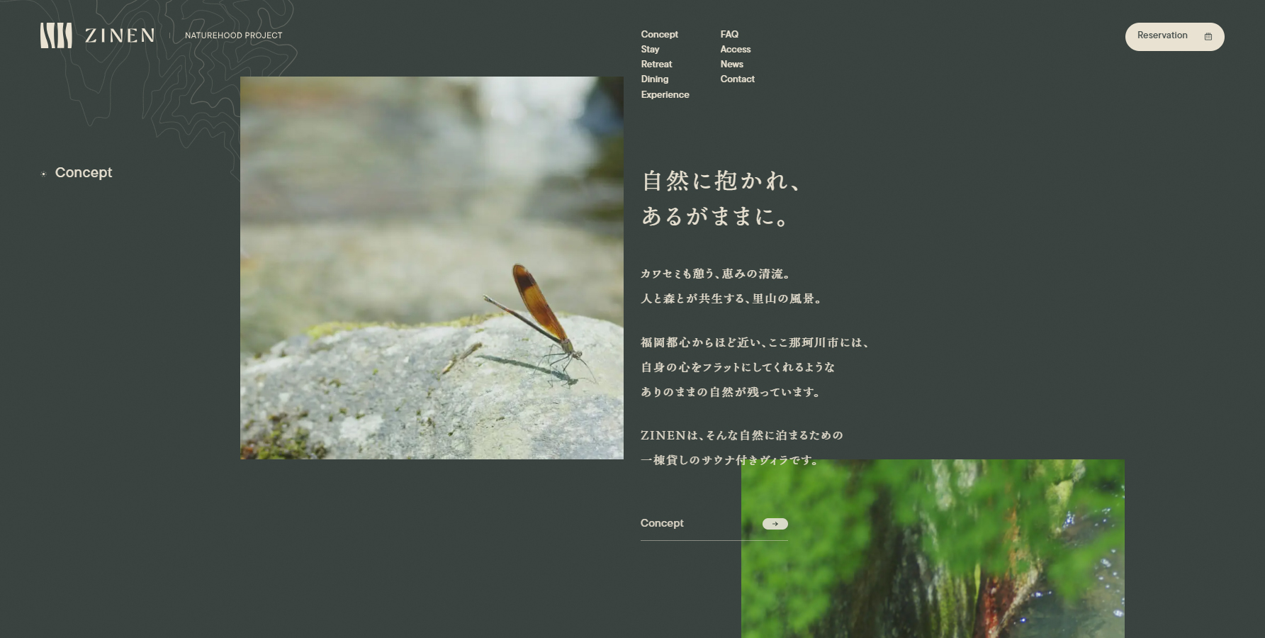 ZINEN - Website of the Day