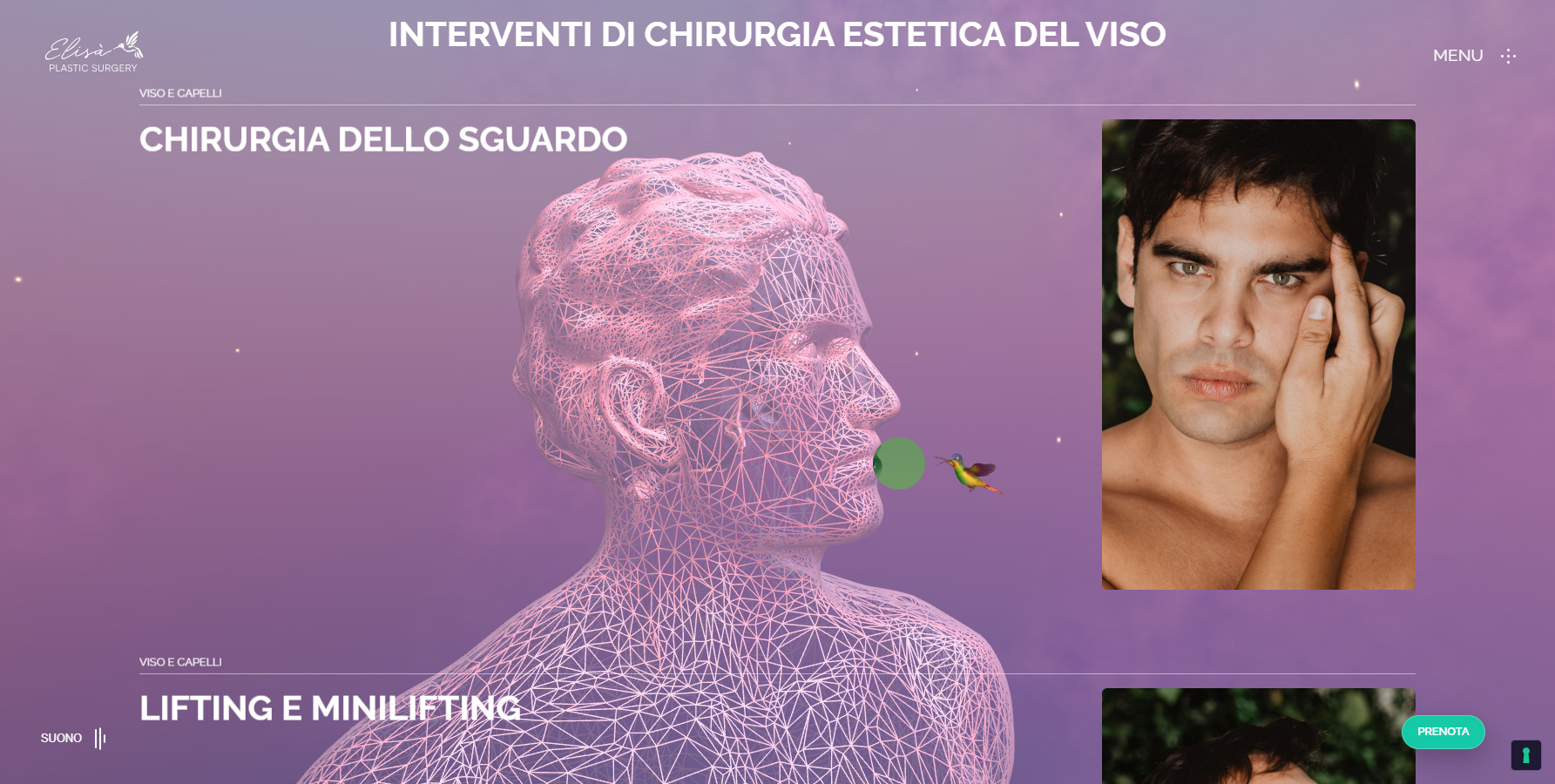 Elisà Plastic Surgery - Website of the Day