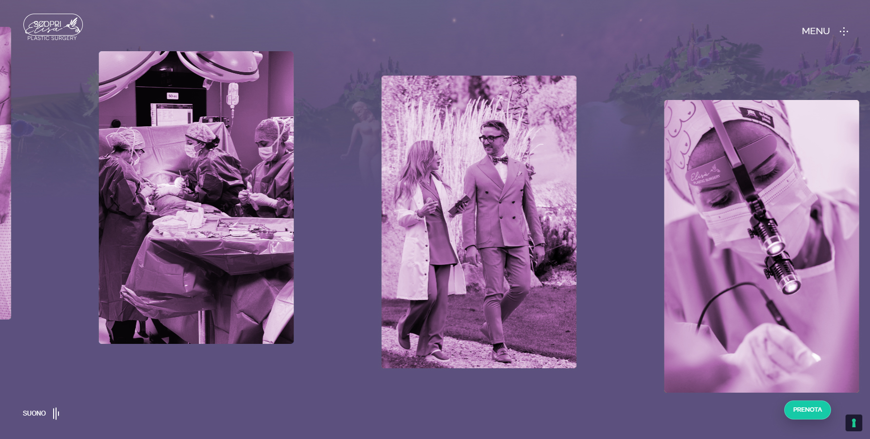 Elisà Plastic Surgery - Website of the Day