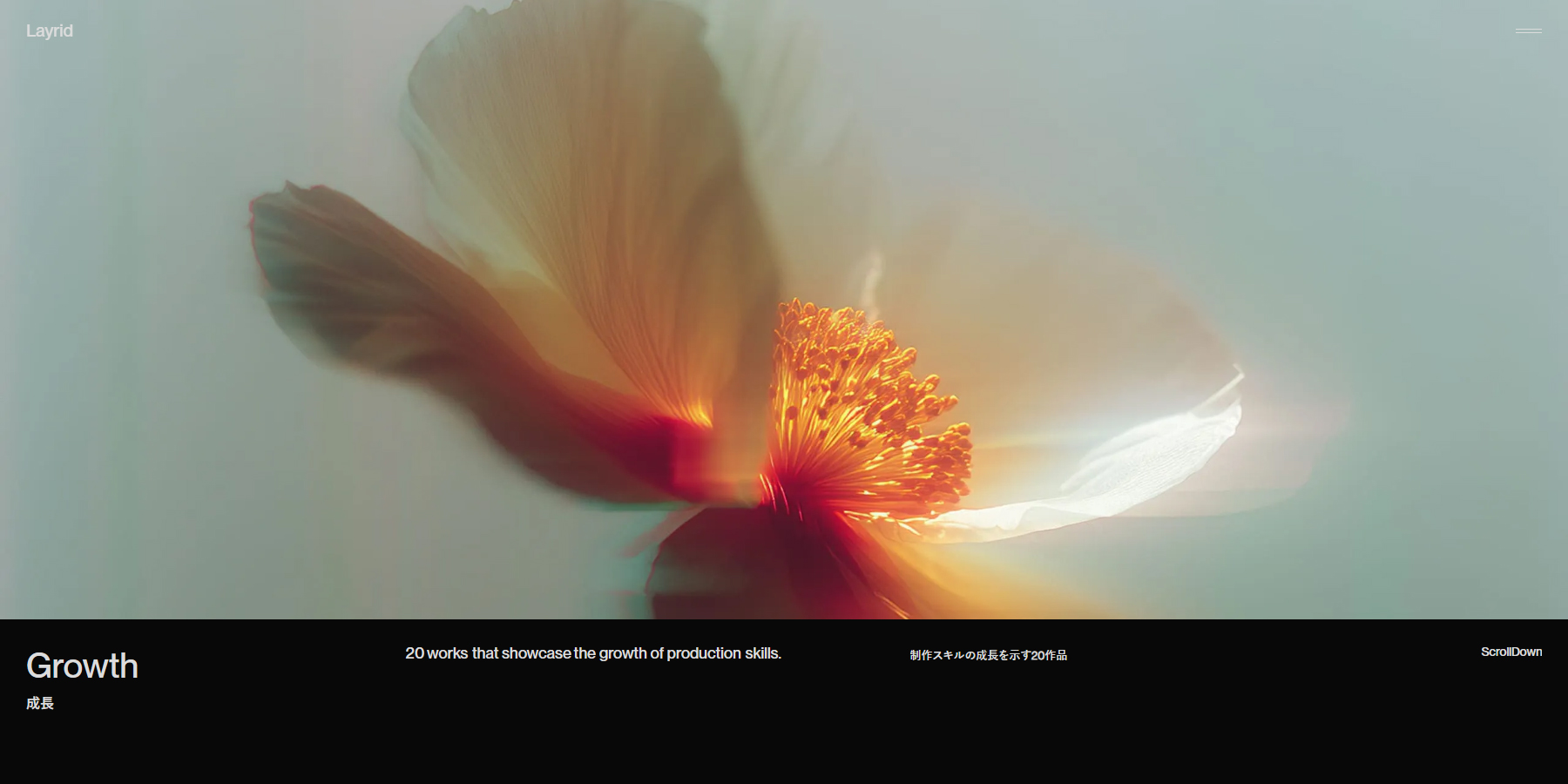 Layrid - Website of the Day