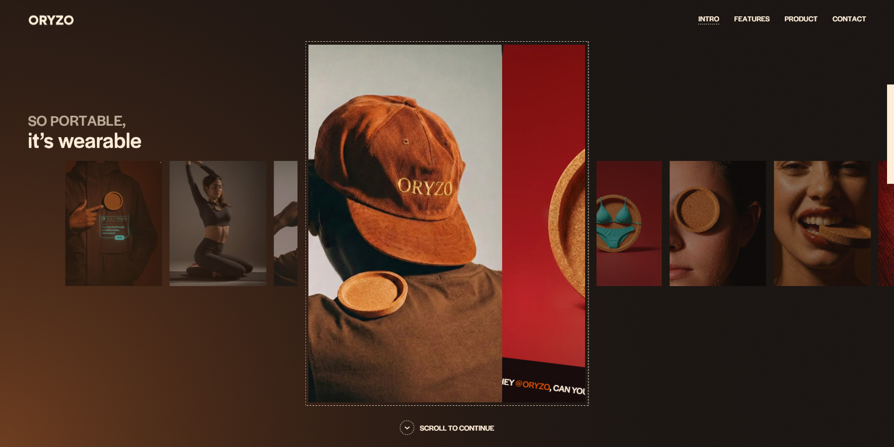 Oryzo AI - Website of the Day