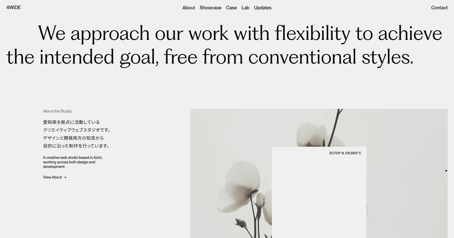 4WIDE - Website of the Day