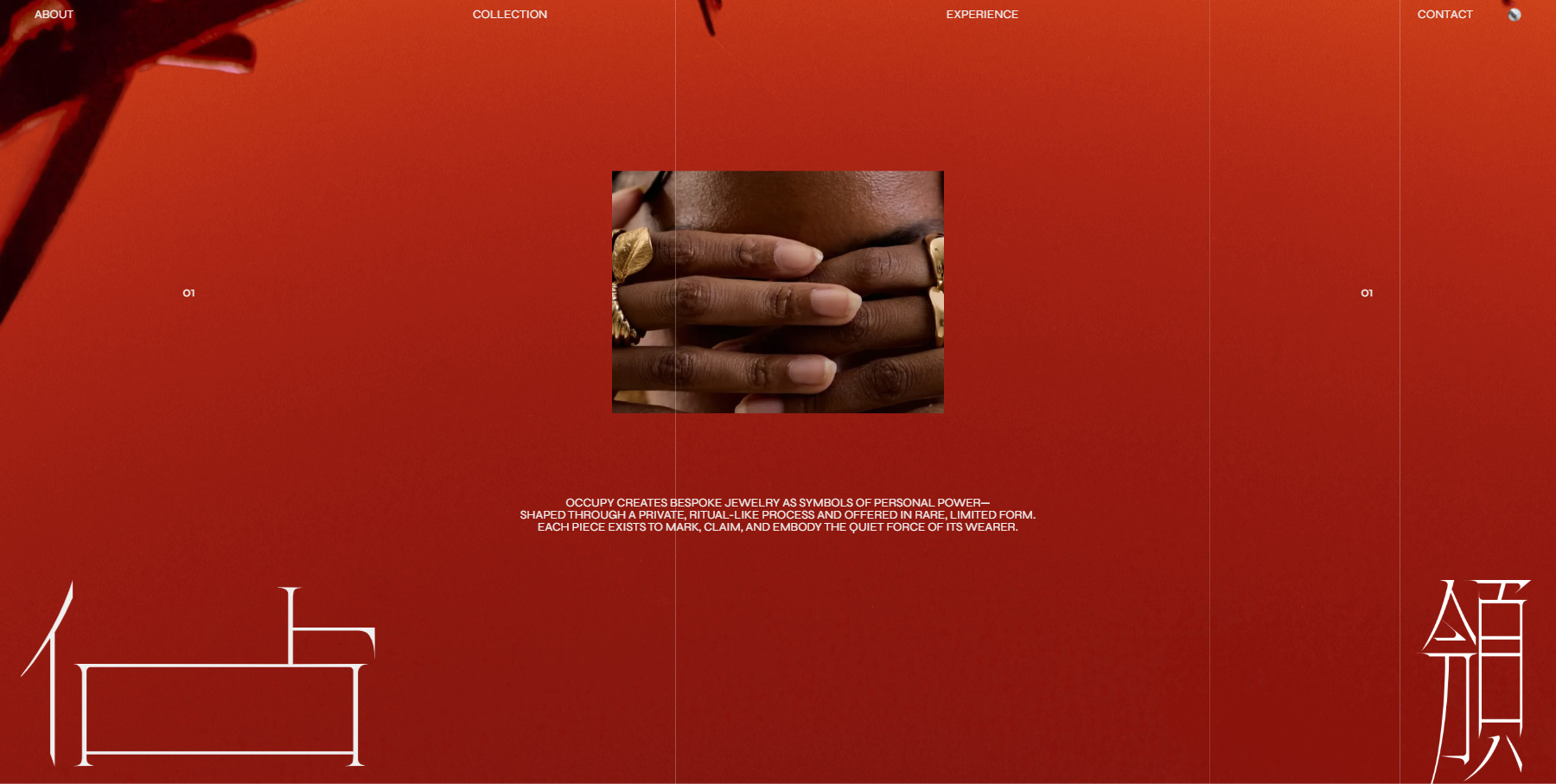 OCCUPY - Website of the Day