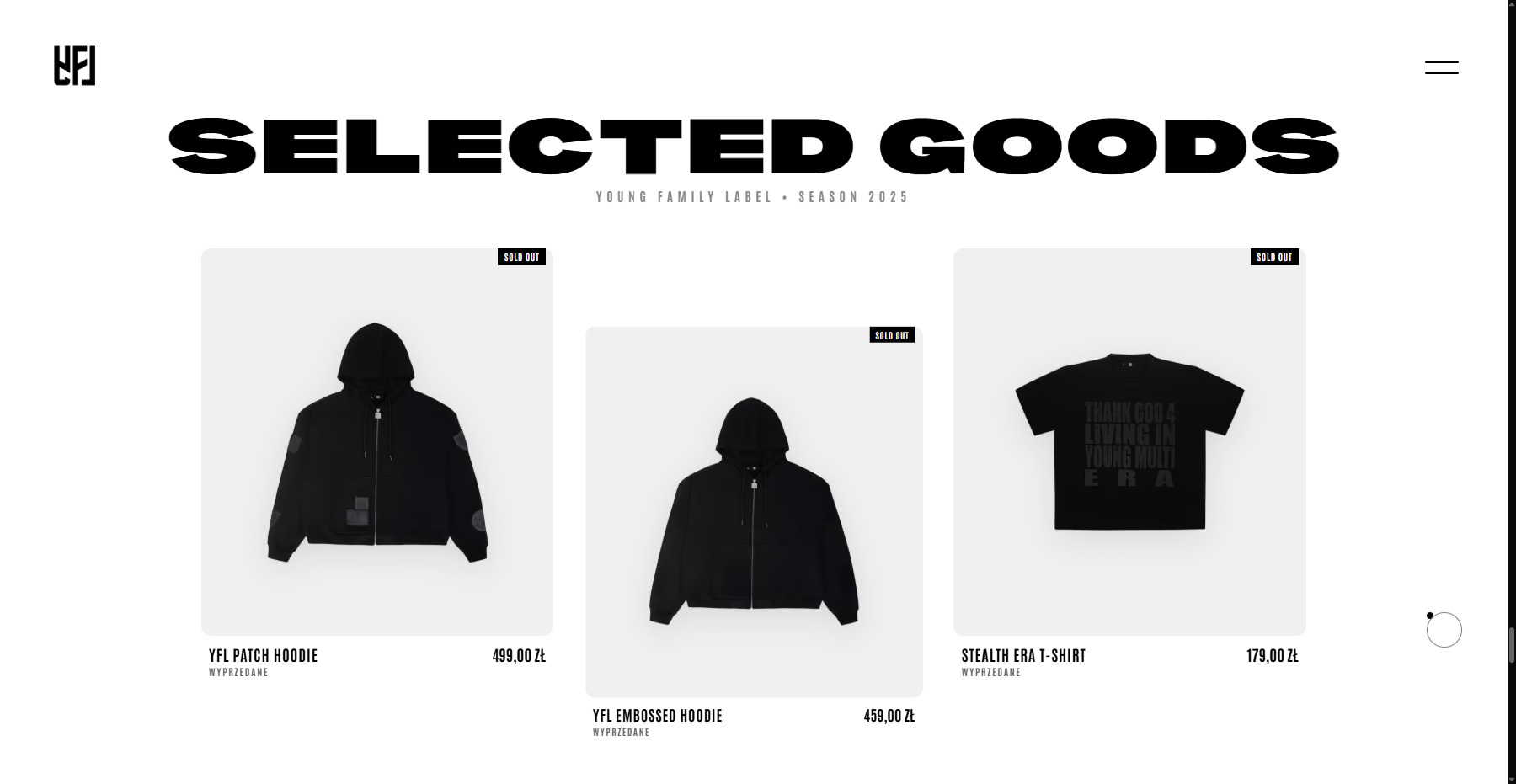 YOUNG MULTI | OFFICIAL EXPERIENCE - Website of the Day