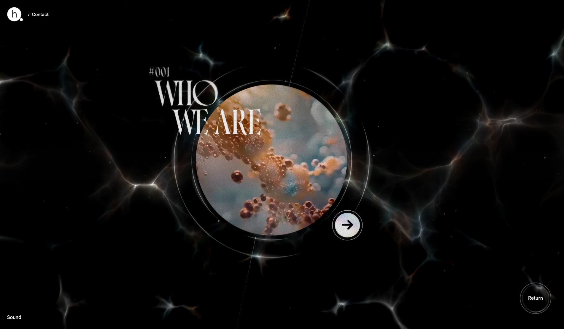 homunculus Inc. 2026 - Website of the Day