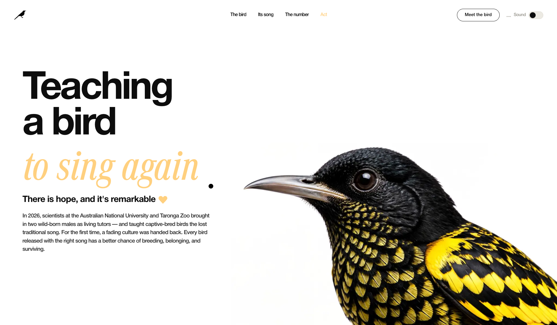 Regent Honeyeater - Website of the Day