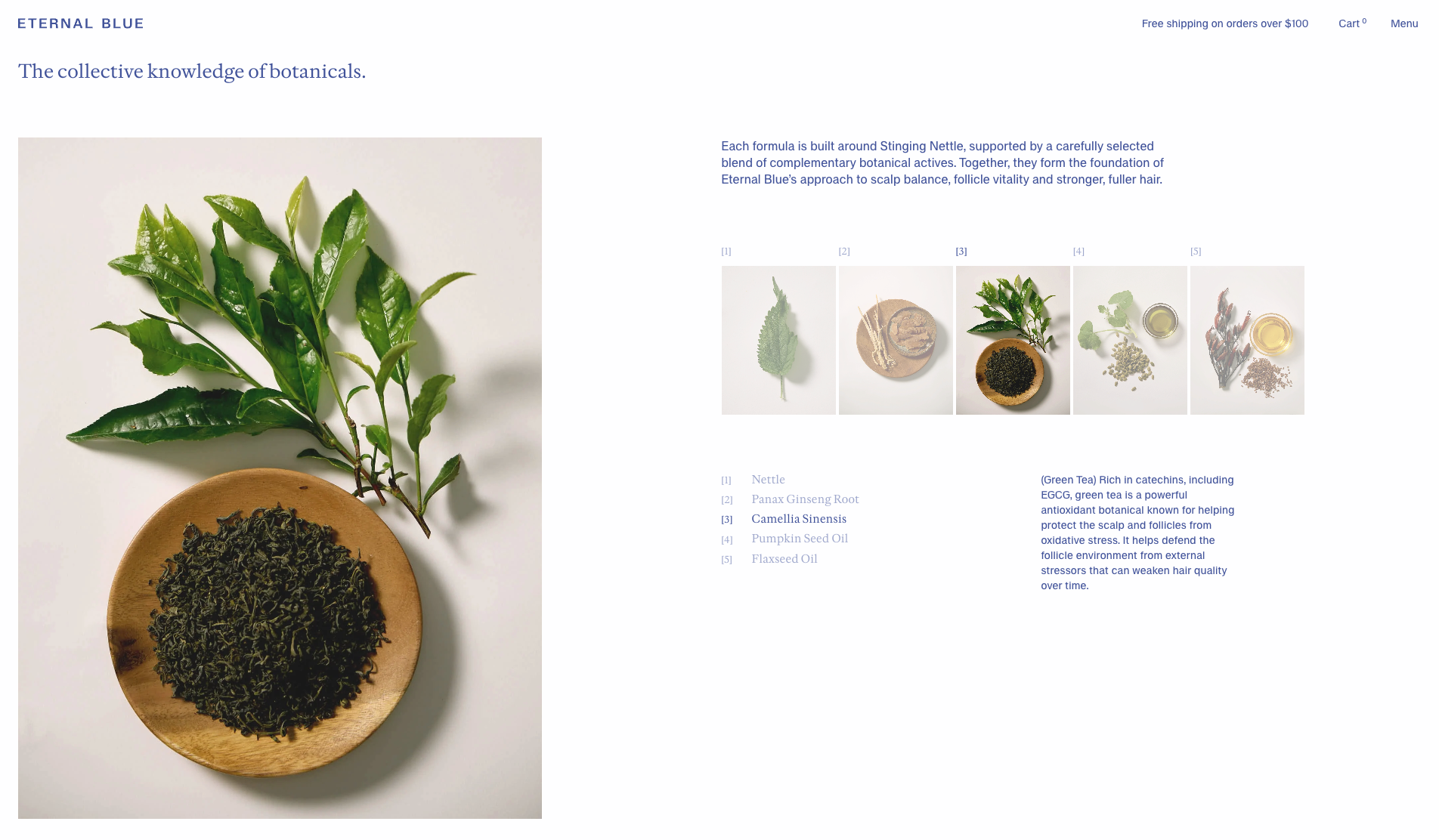 Eternal Blue - Website of the Day