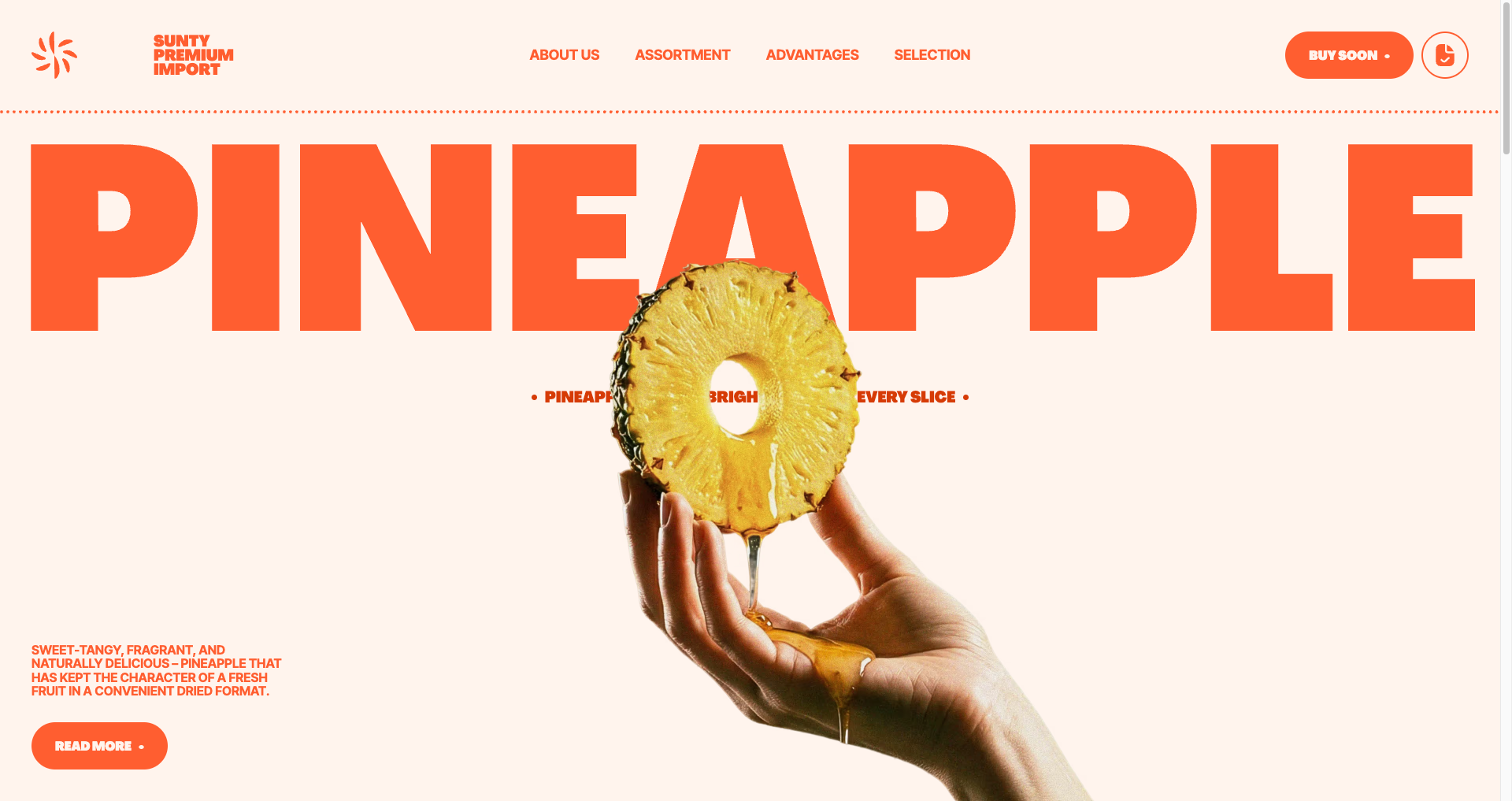 Sunty Fruits - Website of the Day