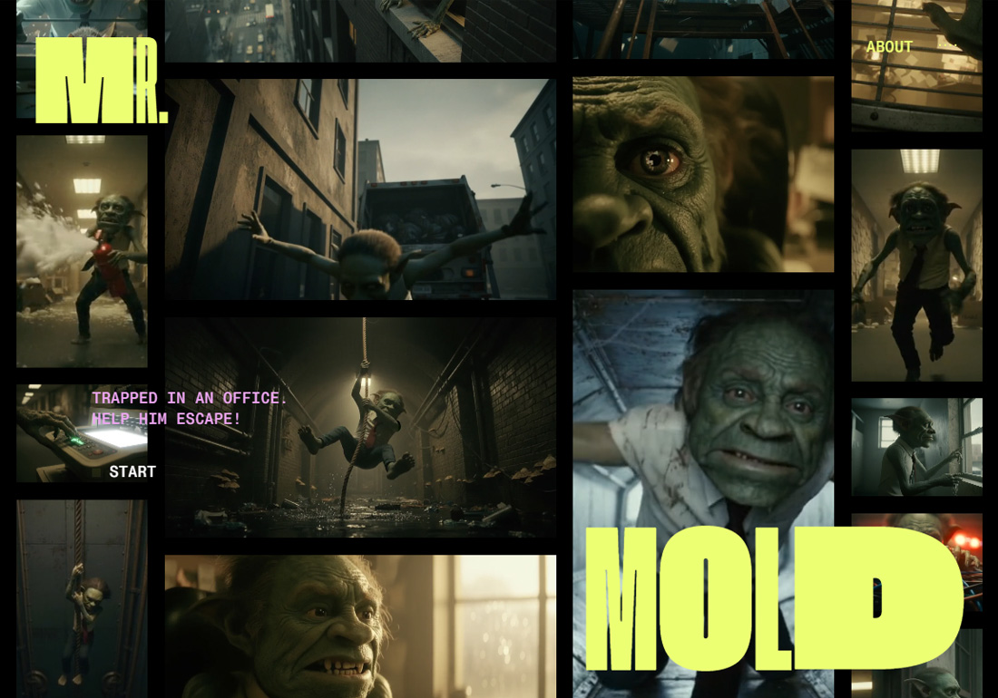 MR. MOLD